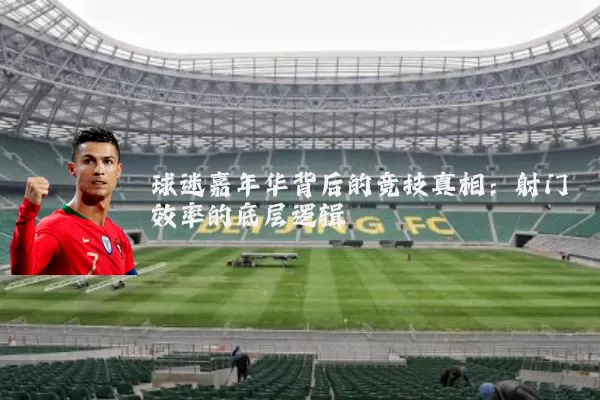 球迷嘉年华背后的竞技真相:射门效率的底层逻辑